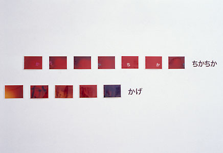 Mellarium/exhibit LIVE